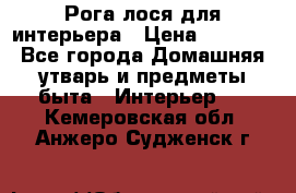 Рога лося для интерьера › Цена ­ 3 300 - Все города Домашняя утварь и предметы быта » Интерьер   . Кемеровская обл.,Анжеро-Судженск г.